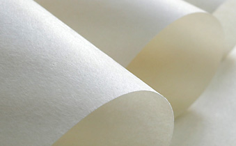 wet-laid
                PTFE nonwoven